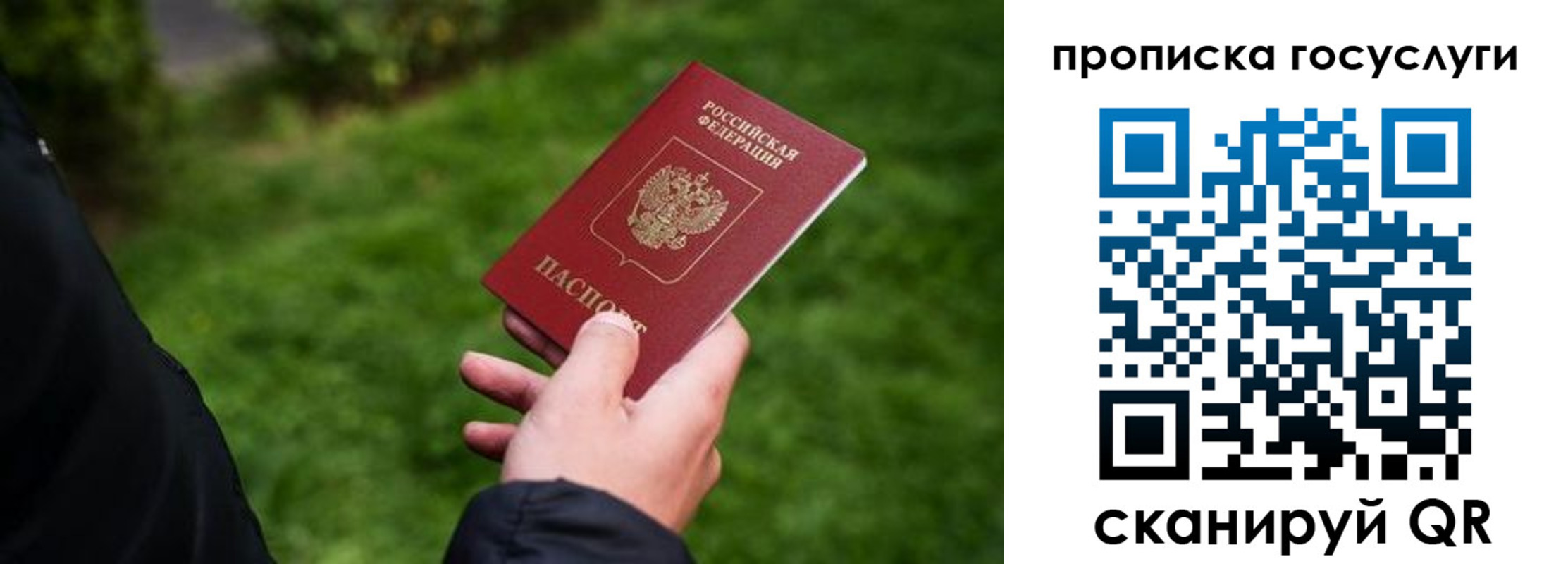 прописка для работы в Боровичах